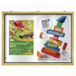 Vitrine d'affichage bois