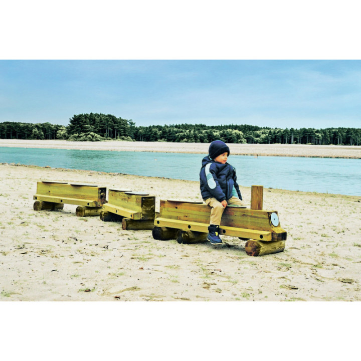 Mini train