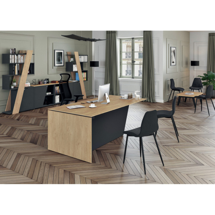 Bureau professionnel moderne Khéops