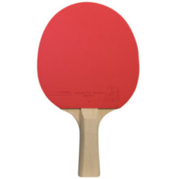 Lot de 6 raquettes de ping-pong