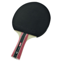 Sport 300