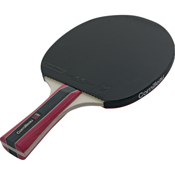 Sport 300