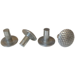 100 clous podotactiles inox