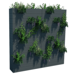 Mur végétalisé extérieur