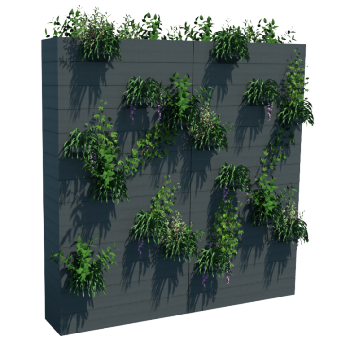 Mur végétalisé extérieur
