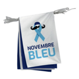 Guirlande NOVEMBRE BLEU