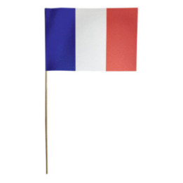 Lot de drapeaux à agiter