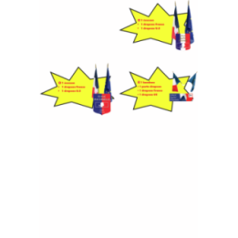 Lot n°1 bis écusson personnalisé + drapeaux + charte laïcité + panneau DDHC