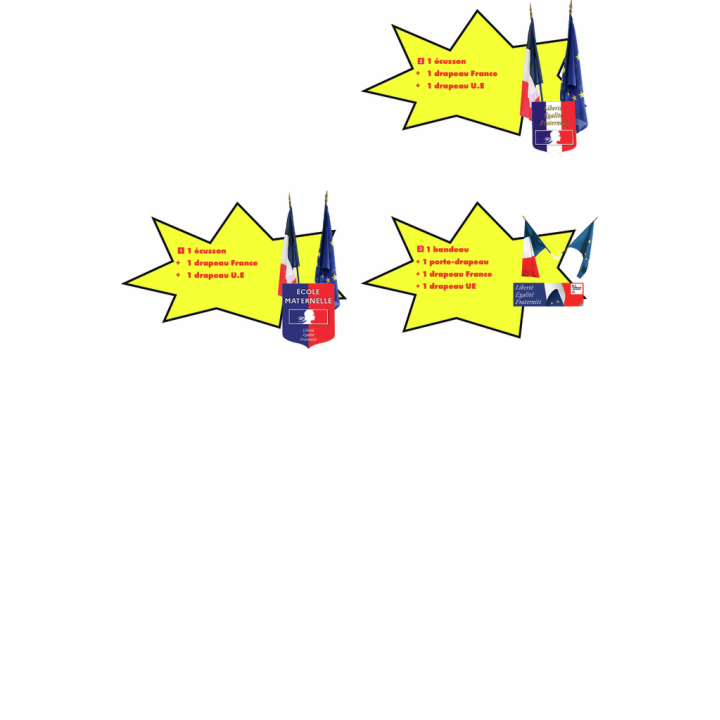Lot n°1 bis écusson personnalisé + drapeaux + charte laïcité + panneau DDHC