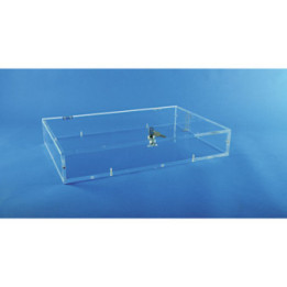 Vitrine d'exposition Museum