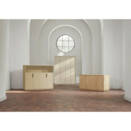 Armoire de bureau professionnel Madera