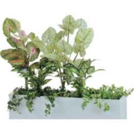Jardinière d'intérieur pour fleurs ornementales
