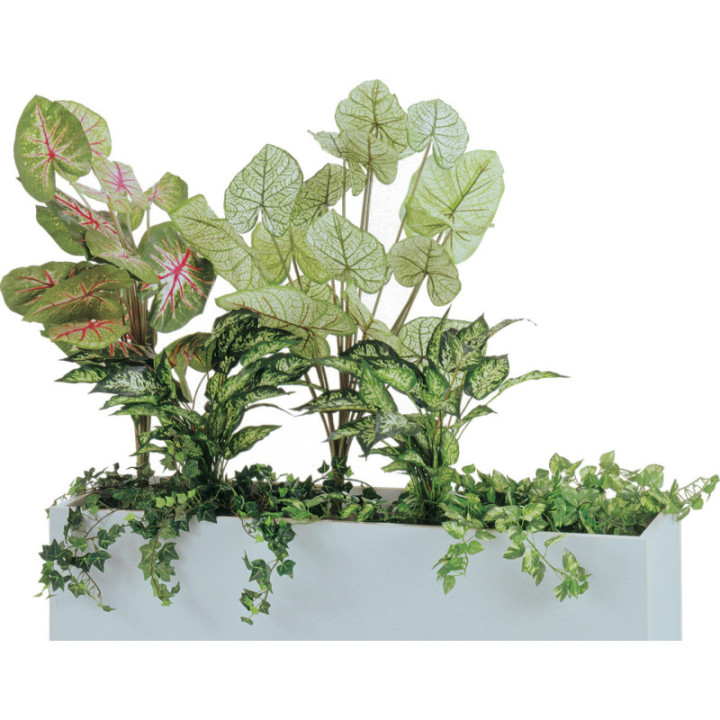 Jardinière d'intérieur pour fleurs ornementales