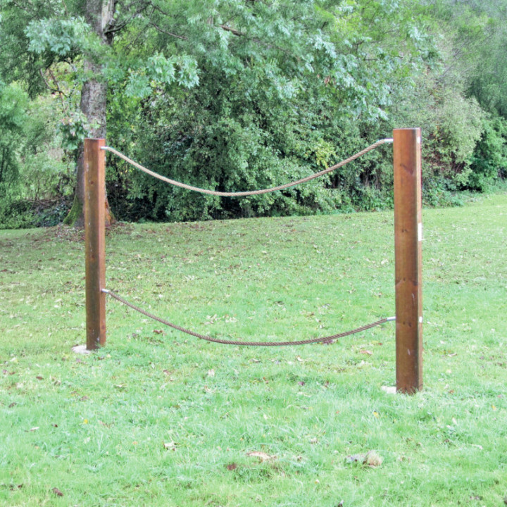 Pont Tarzan