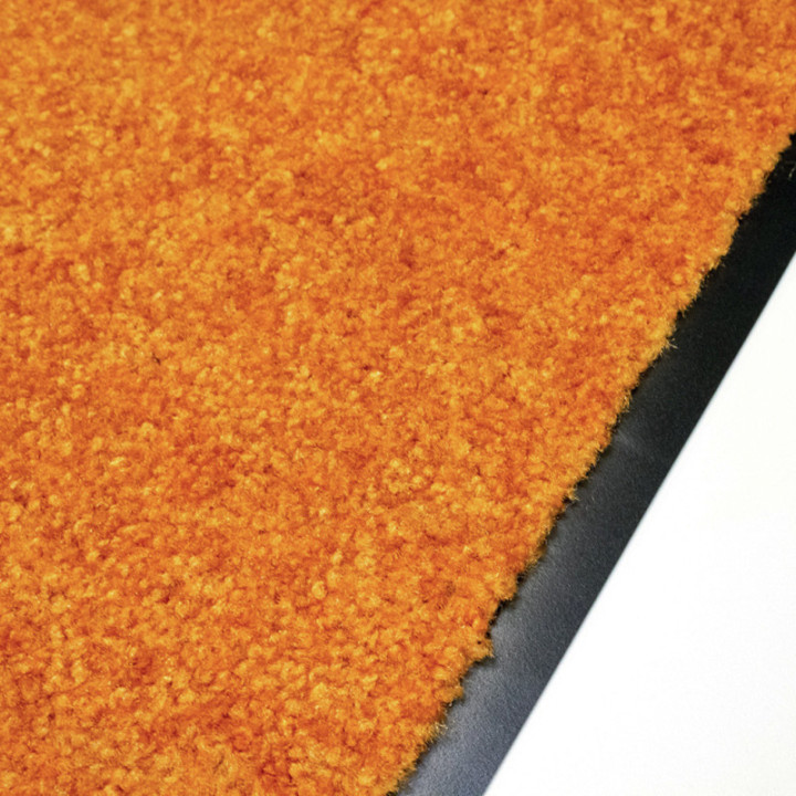 Tapis intérieur professionnel Wash & Clean