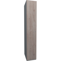 Armoire de bureau professionnelle bois