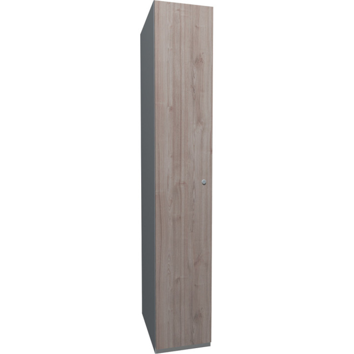 Armoire de bureau professionnelle bois