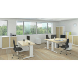 Bureau professionnel gamme Corial