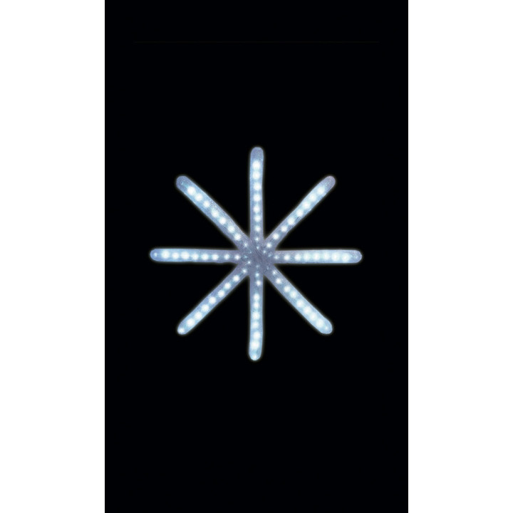 Bâton de neige