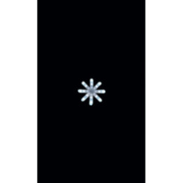 Bâton de neige