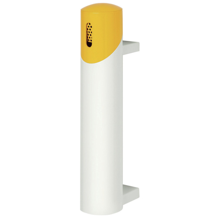 Blanc/tête jaune
