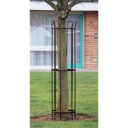 Corset d'arbre Sépale acier