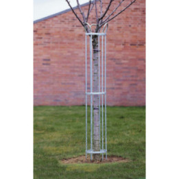 Corset d'arbre Étamine acier