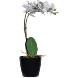 Fleurs artificielles