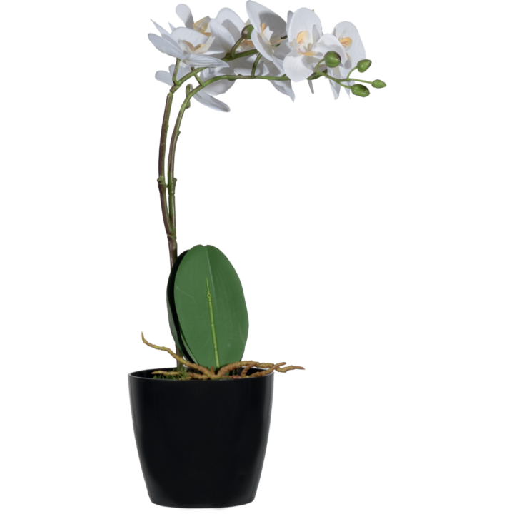 Fleurs artificielles