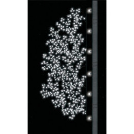 Arbuste lumineux