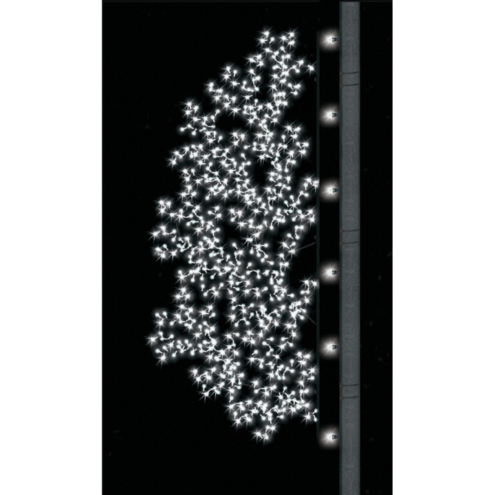 Arbuste lumineux
