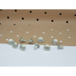Lot de 200 clous podotactiles inox à sceller