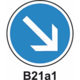 B21a1