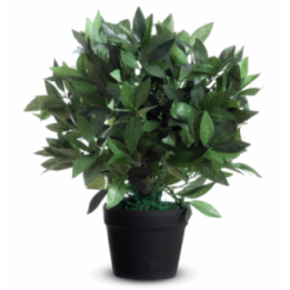 Plantes artificielles