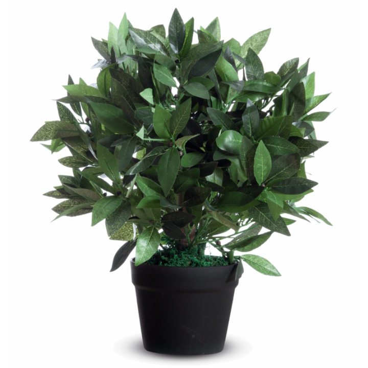 Plantes artificielles
