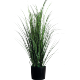 Plantes artificielles