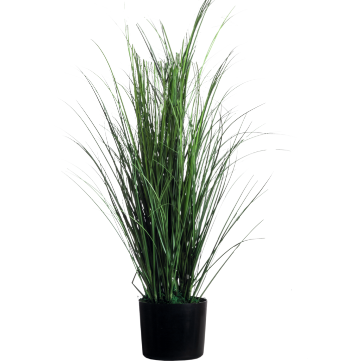 Plantes artificielles