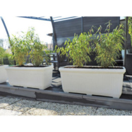 Pot polyéthylène rond lisse