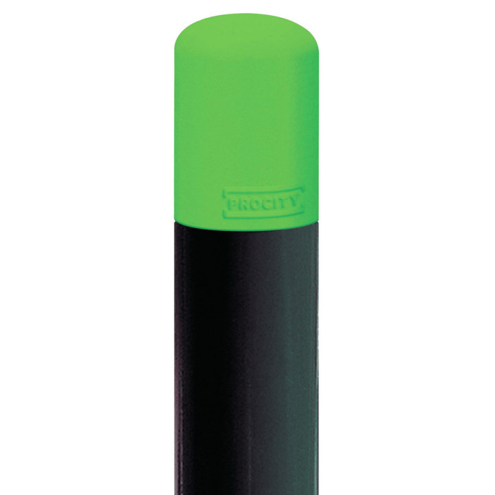 RAL 6018