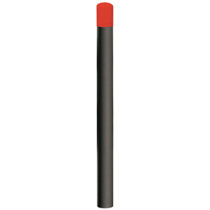 RAL 3020