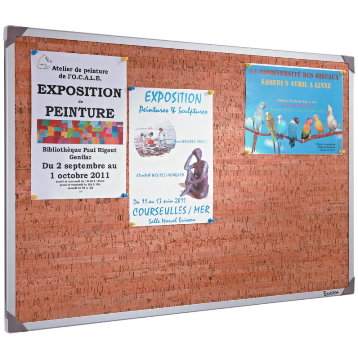 Tableau d'affichage Bivalent et Décoratif