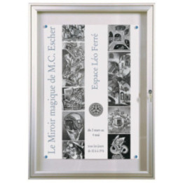 Vitrine affichage extérieur 1000