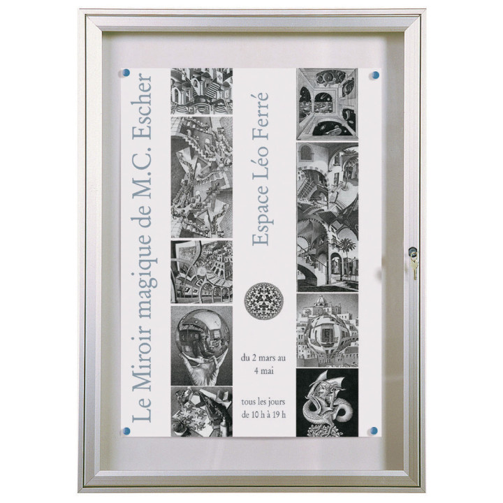 Vitrine affichage extérieur 1000