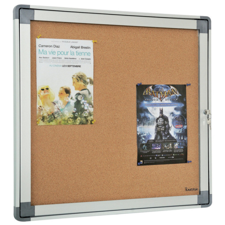 Vitrine d'affichage Alya