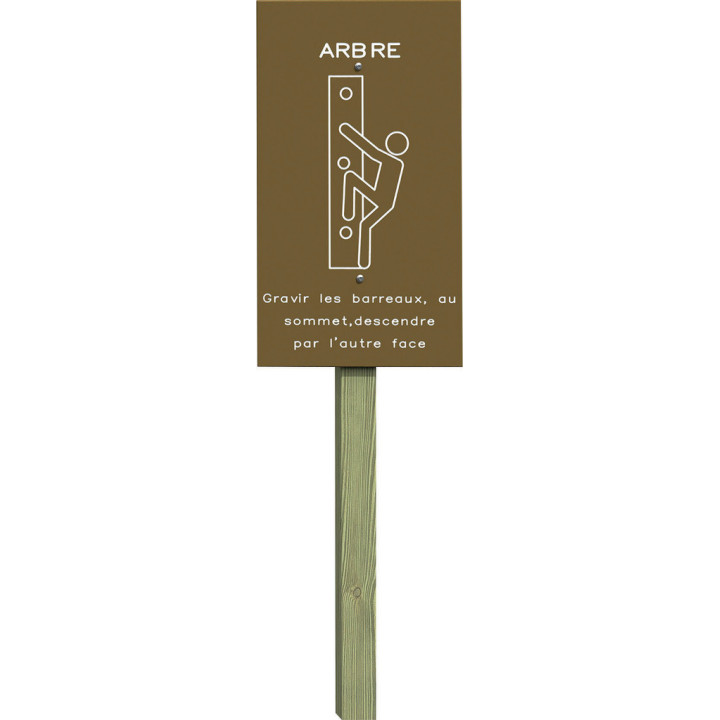 Arbre - Parcours sportif