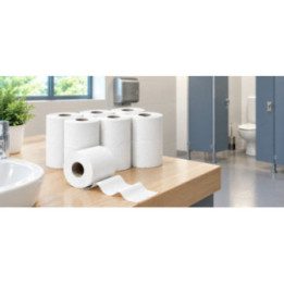 Papier toilette en rouleau professionnel