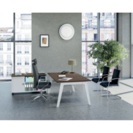 Extensions table bureau Steely